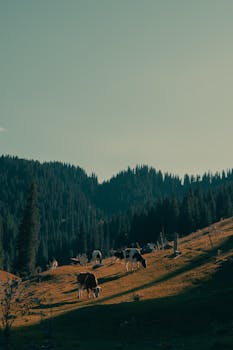  温暖复信传深情，青春力量筑桥梁；中法友好续新章。 文化旅游