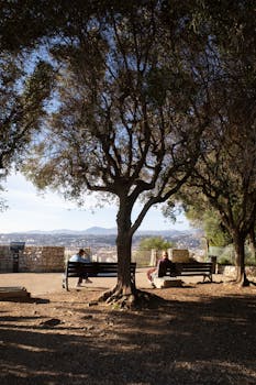  国产聚烯烃弹性体实现突破；气相法工艺引领绿色生产；供应链安全显著增强。 IT技术