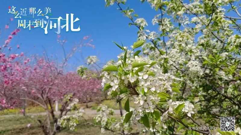  90%的办事时间被缩减，不动产登记背后的“零跑腿”底层逻辑揭秘 IT技术