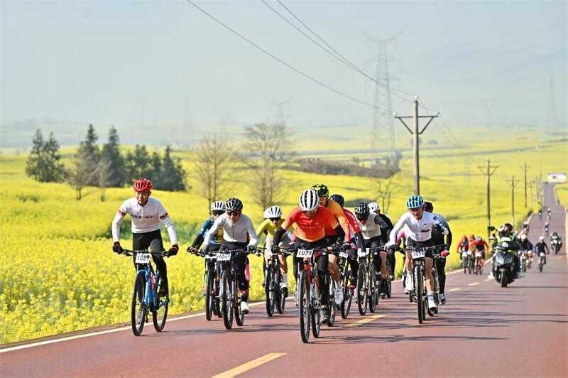 政策组合拳如何重塑旅居目的地:罗平从流量到留量的系统方法论 文化旅游