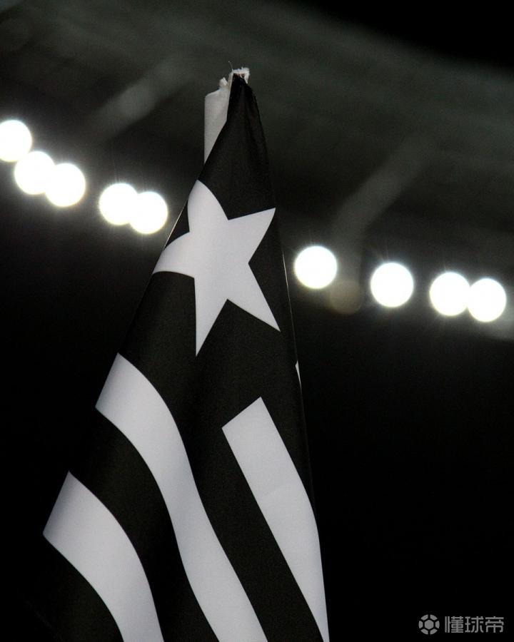  「债务危机深剖」：博塔弗戈诉里昂案背后的集团化足球运营风险 体育新闻