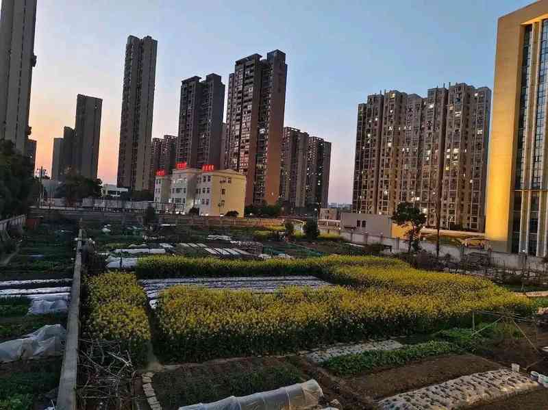 【深度拆解】停止供地背后的库存困局与房价逻辑