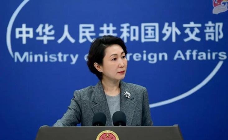  不当保镖的底气：邻居家老大哥的清醒与温暖 新闻