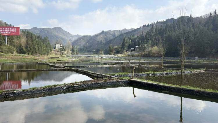  技术破局：石柱县“千万工程”落地的三路径深度解析 新闻