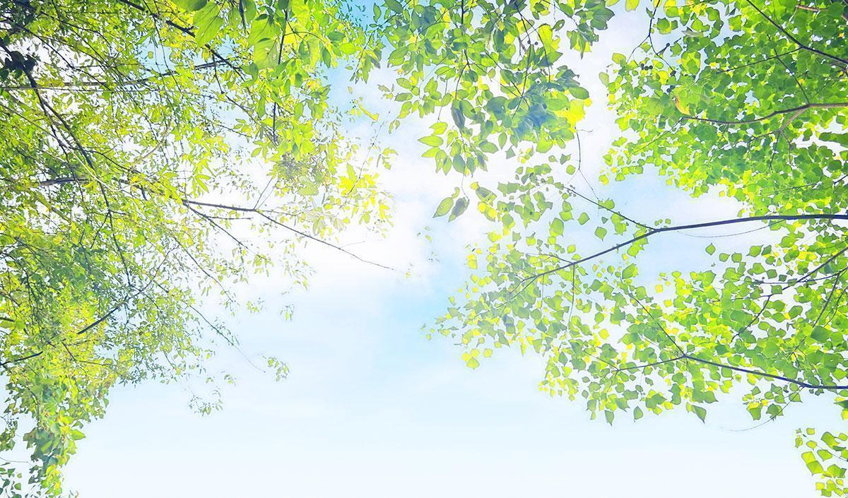  【节气研究】谷雨早晚与三伏冷热的内在逻辑：基于气候传导机制的深度解析 文化旅游