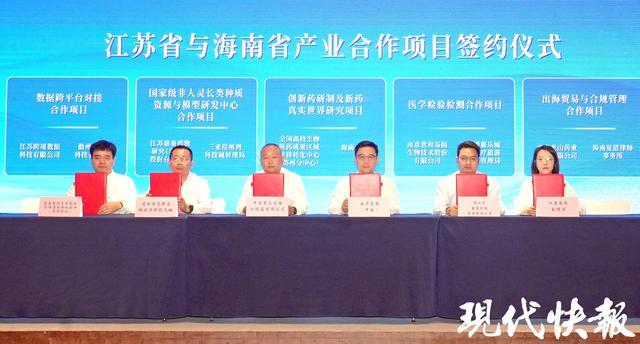 跨越千里的“双向奔赴”:一座城市如何借力自贸港实现产业突围 新闻 跨越千里的“双向奔赴”:一座城市如何借力自贸港实现产业突围 新闻