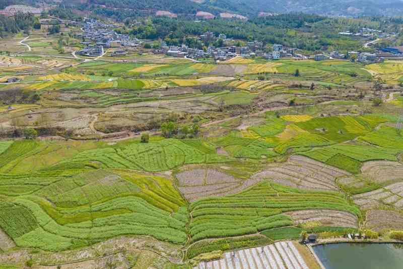 技术派视角:大理东山村航拍实战,解码高原田园的地形航线与拍摄策略 新闻
