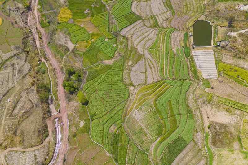 技术派视角:大理东山村航拍实战,解码高原田园的地形航线与拍摄策略 新闻