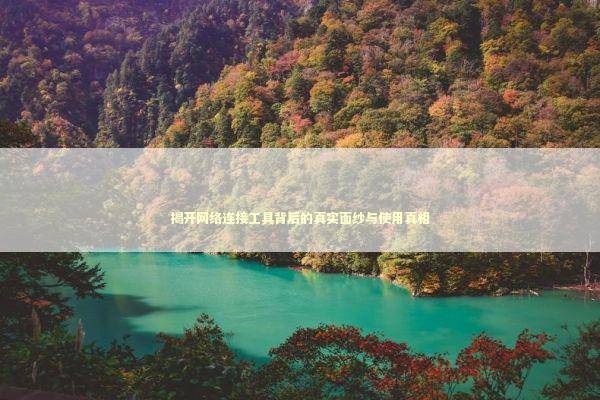 揭开网络连接工具背后的真实面纱与使用真相 IT技术