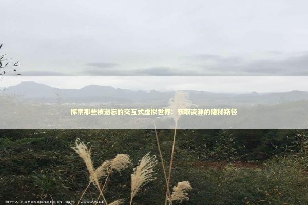 探索那些被遗忘的交互式虚拟世界：获取资源的隐秘路径