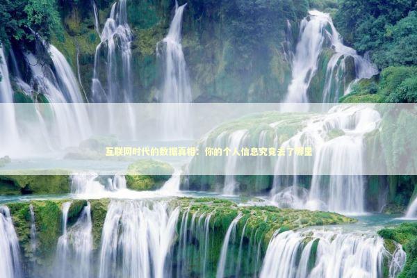 互联网时代的数据真相：你的个人信息究竟去了哪里