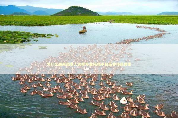 为什么越来越多人选择专业视频平台而非传统搜索 IT技术