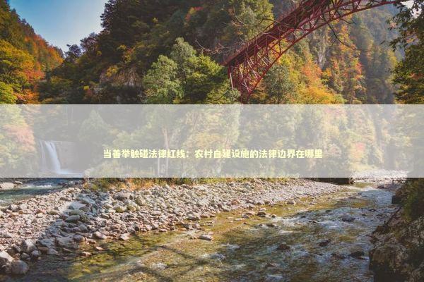 当善举触碰法律红线：农村自建设施的法律边界在哪里 新闻