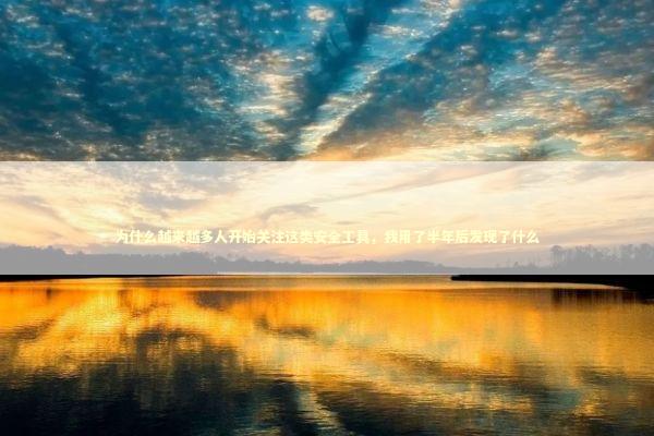 为什么越来越多人开始关注这类安全工具，我用了半年后发现了什么 IT技术