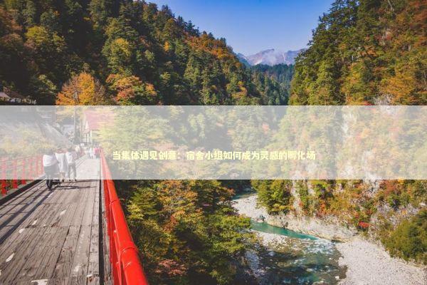 当集体遇见创意：宿舍小组如何成为灵感的孵化场 情感心理