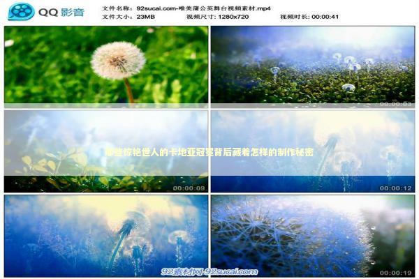 那些惊艳世人的卡地亚冠冕背后藏着怎样的制作秘密 时尚用品