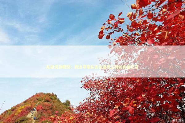 从担忧到释然：我追寻隐私安全通讯工具的完整记录 IT技术