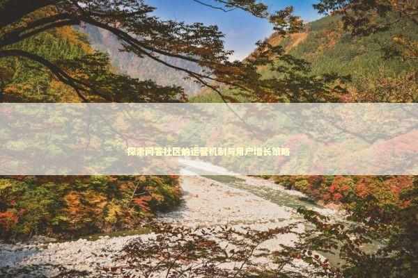 探索问答社区的运营机制与用户增长策略 探索问答社区的运营机制与用户增长策略 IT技术
